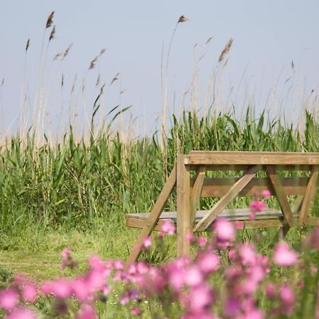 De Tijnjehoeve Boornzwaag over de Wielen エクステリア 写真