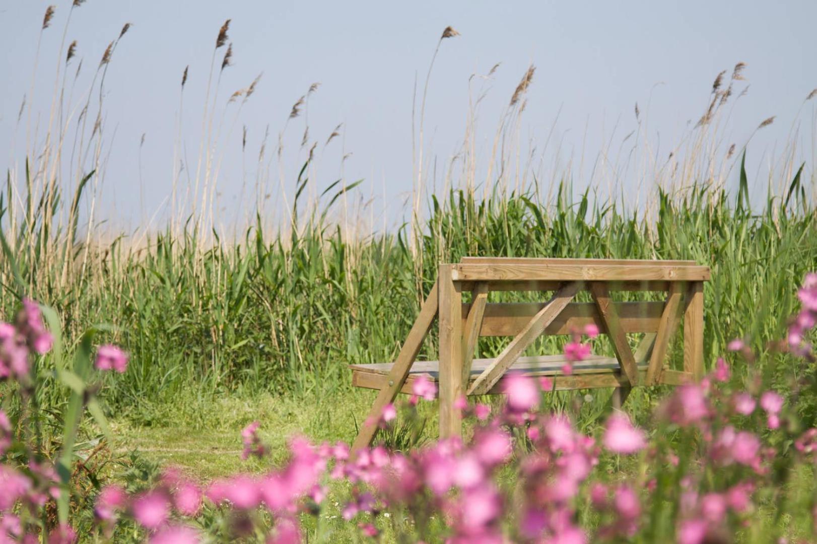 De Tijnjehoeve Boornzwaag over de Wielen エクステリア 写真